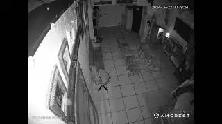 Back to Back Orbs in Pirate Museum September 22 2024 1230am