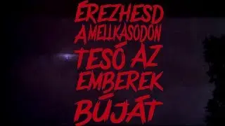 Cibbah - NÉZŐPONT (Lyrics video)