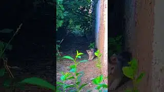 Красивые видео