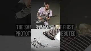 SCHECTER HAVE LOST THEIR HEADS...