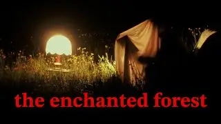 you're exploring an enchanted forest (calming ASMR adventure)