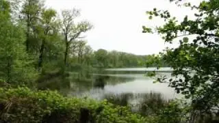 Netherlands: The Venkoelen in the natural area Blackwater (Zwart Water) in Venlo.