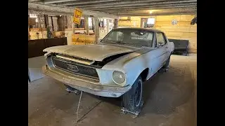 Barn Find  Mustang