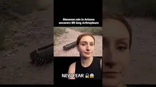 NEW FEAR UNLOCKED 😱 😱