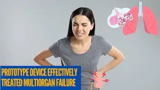 Medical Breakthrough - Prototype device effectively treated multiorgan failure