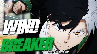 This Fighting Anime is BRUTAL.... (Wind Breaker Review)