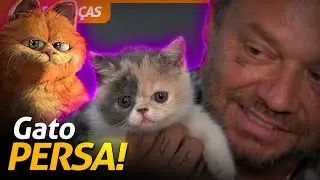 TUDO SOBRE OS GATOS EXÓTICO PERSA HIMALAIA! | RICHARD RASMUSSEN