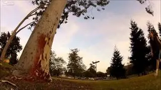 Tree plant backflip FAIL