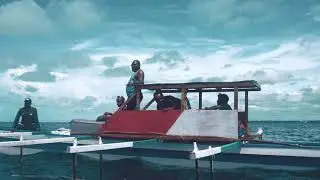 Ikan Hiu Paus/Whale Shark