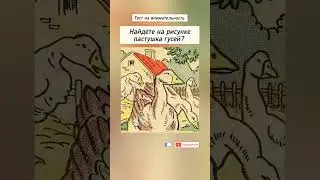 тест на внимательность, найдёте на рисунке лицо пастушка гусей?