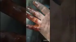 opel нежданчик