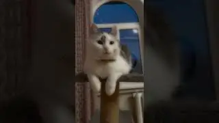 АААААА 