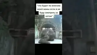 Мем) Жду твоей подписки)