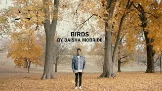 Daisha McBride - Birds [Lyric Video]