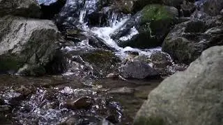 Water Sounds for Sleep or Focus | 5 Minutes Quick Meditation