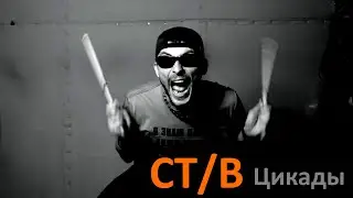 СТИВ - Цикады