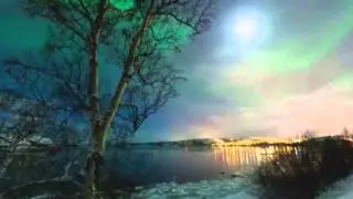 А олени лучше