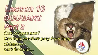 Lesson 10-Cougars- Reading Part 2
