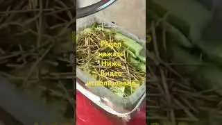 Малосольные огурцы