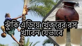 Nipah virus and Date juice :How to prevent Nipah virus #emran #nipahvirus