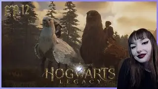 Saving the Hippogriffs with Natty! | Hogwarts Legacy Gameplay | Ep: 12
