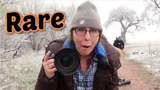 I actually photographed this, a Rare Colorado day