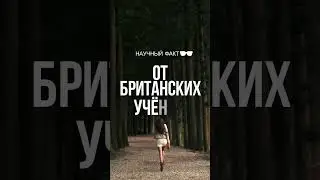 👨‍🎓 Если пробегать 5-10 км в день... 