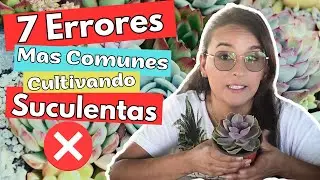 ERRORES Mas Comunes Cultivando SUCULENTAS
