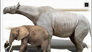 Sound Effects - Indricotherium / Paraceratherium (Custom, DanielBorg’s Version)