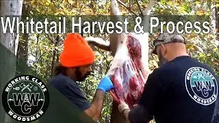 North Carolina Whitetail Deer Harvest & Process (GRAPHIC)