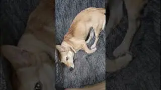 Разговоры с Боней по душам )))
