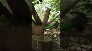 Survival Skills Unleashed: Bushcraft Solo Part 6