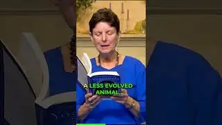 Which Life Holds More Value? 