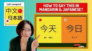 Chinese & Japanese Word Quiz 1 | Learn Chinese & Japanese