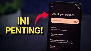 8 Fitur Opsi Pengembang: Bikin Game Makin Ngebut dan Responsif