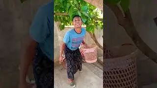 siram tanaman Sabil nyanyi#shorts