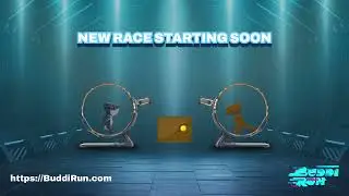 New Race Starting soon