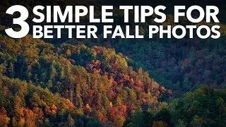3 Fall / Autumn Photography Tips