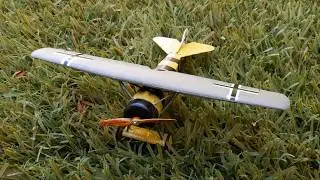 Roden Fokker E.V/D. VIII 1/72