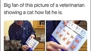 UNUSUAL MEMES COMPILATION V207