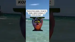 Відео з Тік Току anashins #anashins #море #рекомендації