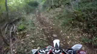 levamose sto dente teribbile (cimini enduro)...illustre ditta enduro boschiva