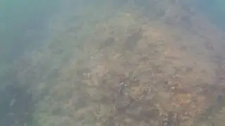 Майорка пляж Магалуф