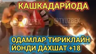 ОДАМЛАР ТИРИКЛАЙН ЙОНДИ ДАХШАТ МУБОРАК ТУМАНИДА ИККИ МАШИНА ТУКНАШИБ ИЧИДАГИ ИНСОНЛАР ЙОНИБ КИТИШДИ