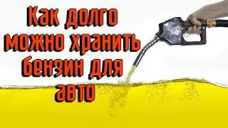 Как долго можно хранить бензин для авто