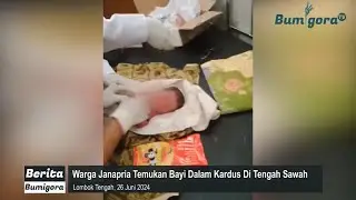 Warga Janapria Lombok Tengah Geger Penemuan Bayi Perempuan Dalam Kardus Di Tengah Sawah