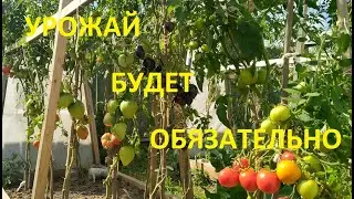 Как построить Новые-Высокие-Укрывные грядки + маленький обзор