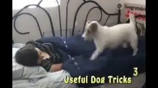 Настоящий помощник!