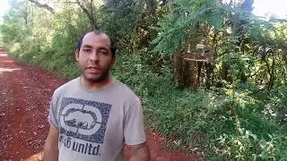 primeira puxada do azulao (zeus) no mato