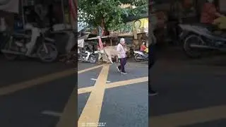 Macam Mana Lembu Ni Boleh Terlepas ni